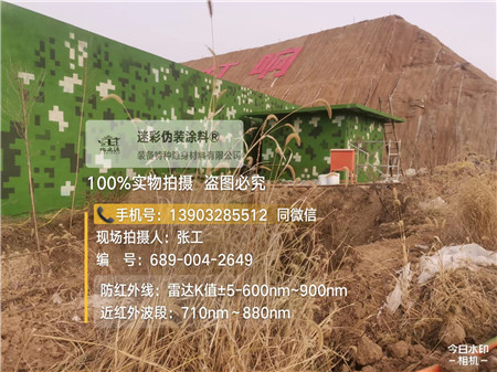 阜新星空迷彩墙施工队