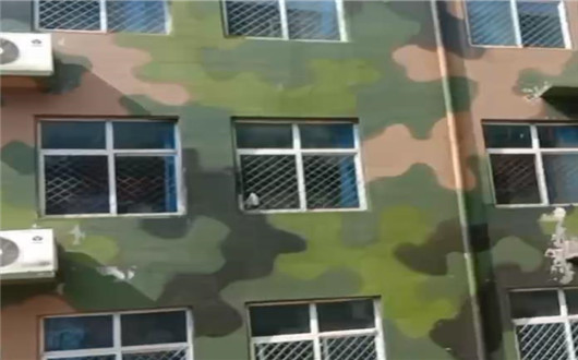 阜新墙面军用迷彩施工方案